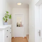 B85 - Seasun Step In Da Rocha * بورتيماو